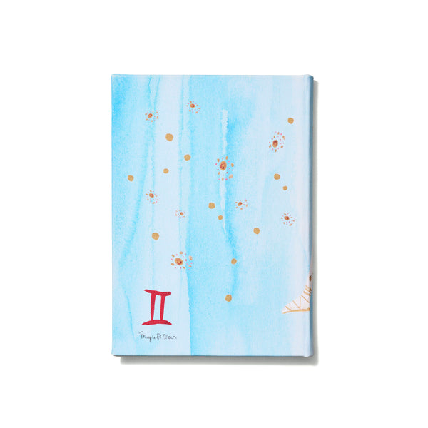 Gemini Notebook