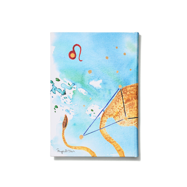 Leo Notebook