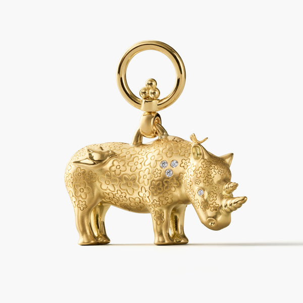 P31855-RHINOLG