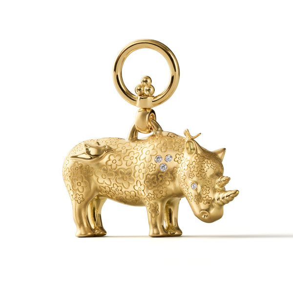 P31855-RHINOSM