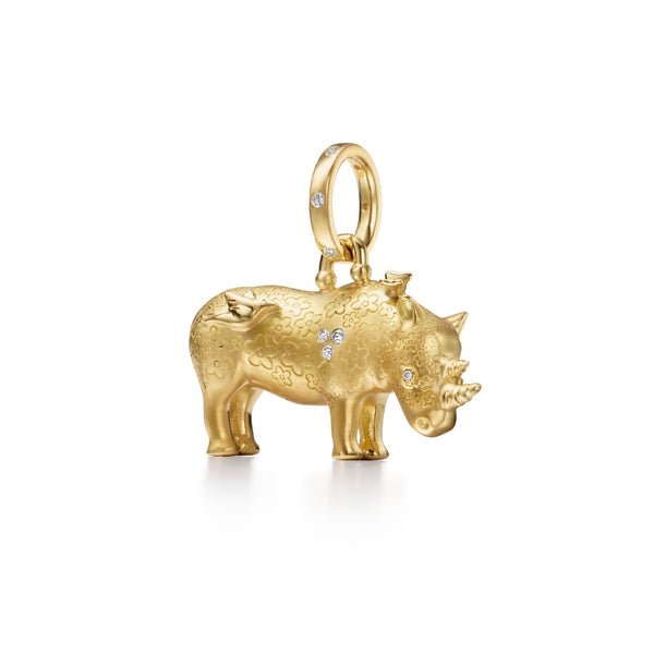 P31855-RHINOSM